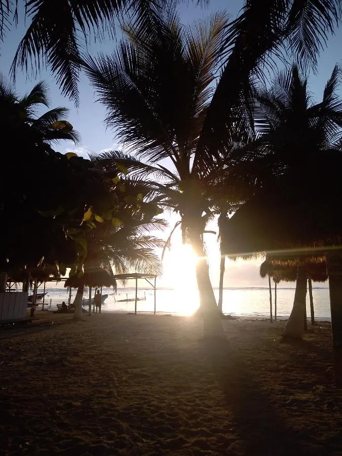Hostel Hostal Jardin Mahahual
